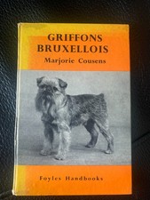 Griffons Bruxellois Marjorie