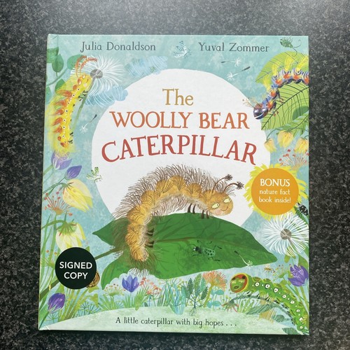 The woolly bear - woolly, caterpillar