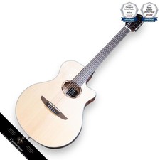 YAMAHA Acoustic Electric