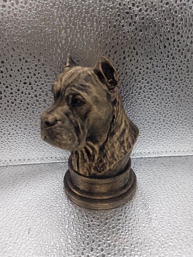 Cane corso bust - cane,