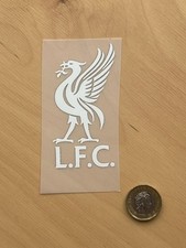 EPL Premier League Liverpool PVC Iron On White Player Size Patch Badge