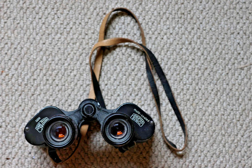 Carl zeiss jena binoculars - carl,