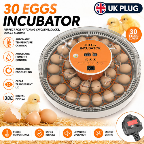 Eggs fully automatic - 30-eggs,