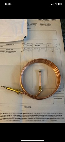Thermocouple for main - for,