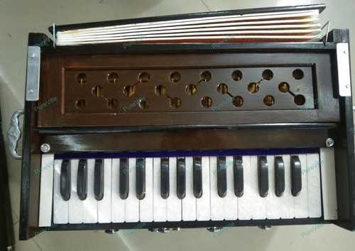 Indian musicl instrument - indian,