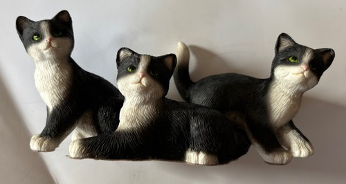Black white cat kittens trio - &,
