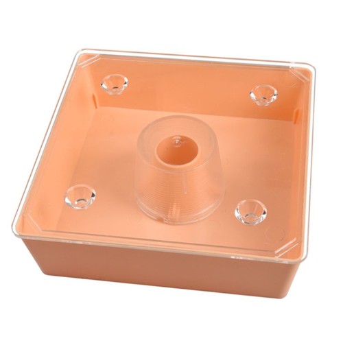 Bee feeder water - feeder,
