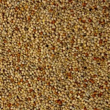 Foreign Finch Seed Bird Food