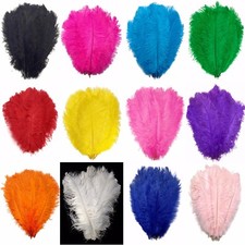 Ostrich Feathers - Extra Large 50cm -60cm / 20" - 24" Pick Quantity / 14 Colours