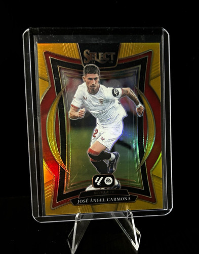 Panini jose angel - panini,