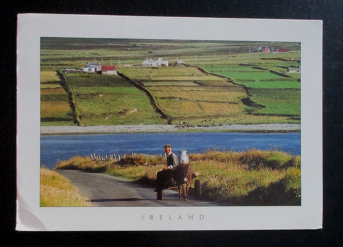 Kerry ireland man with horse - kerry,