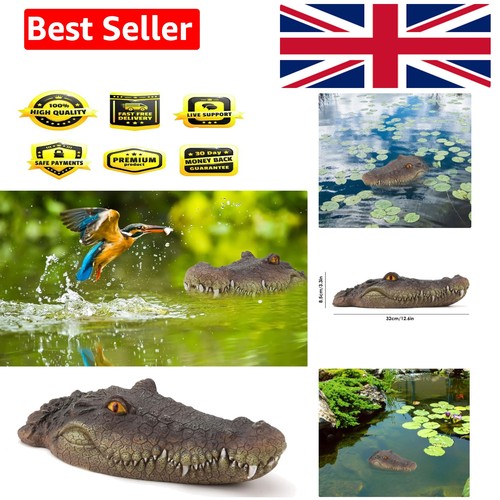Floating crocodile head with - floating,