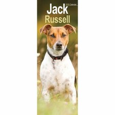 Jack Russell Slim Calendar