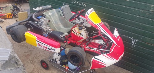 Birel art x30 ry30 - art,