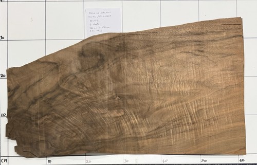 English walnut swirl real - english,