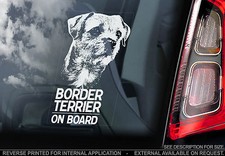 Border Terrier - Car Window