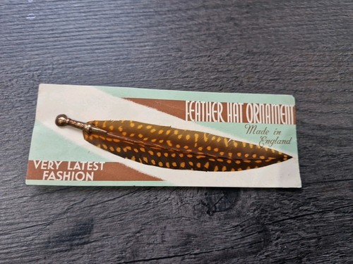 Vintage pheasant ladies hat - pheasant,
