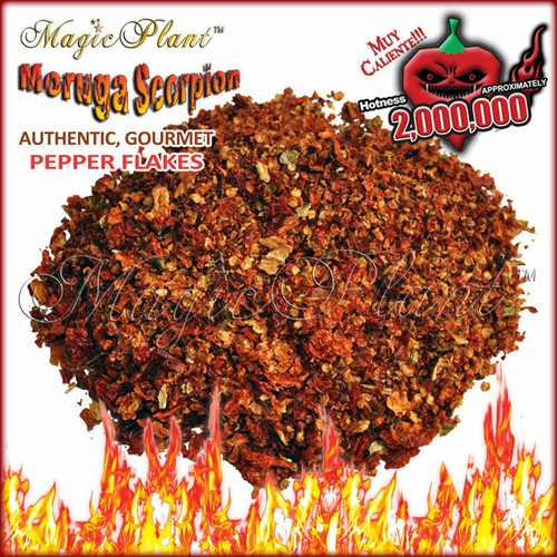 Trinidad moruga scorpion - trinidad,