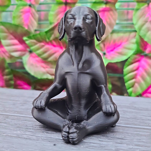 Zen dog figure printed - zen,