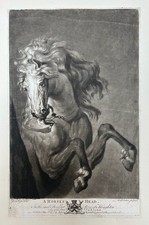 A Horse’s Head Rare Original C18th Boydell Mezzotint after Van Dyck Earlom 1777
