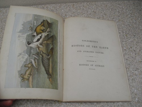 Goldsmith history of the - of,