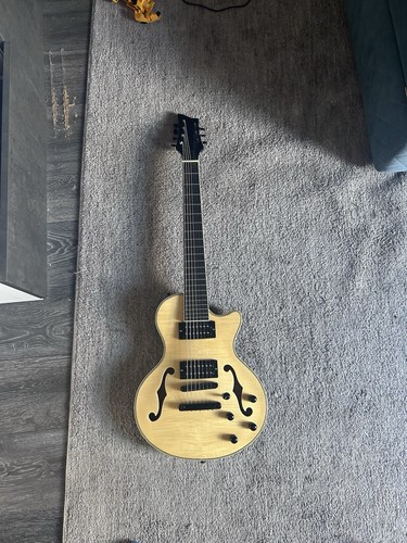 Semi hollow body - semi-hollow, electric