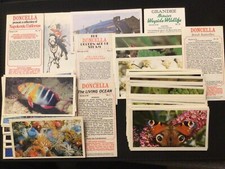 Players, Doncella, Cigar