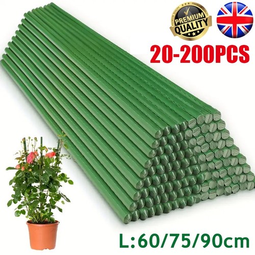 200pcs garden plant - 20-200pcs,