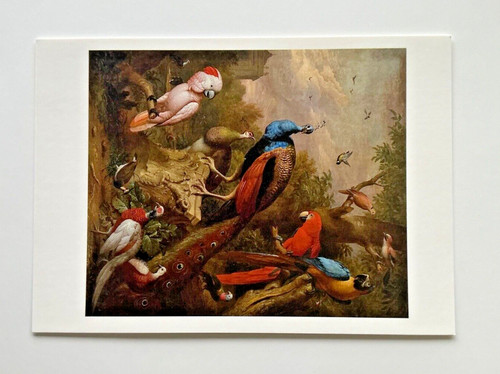 Jakob bogdani bird paradise - bird, of