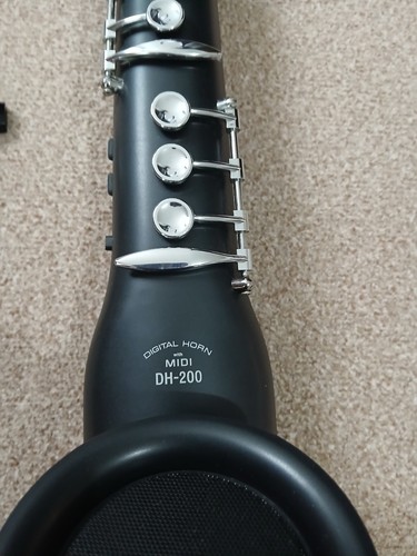 Casio 200 digital - dh-200, horn