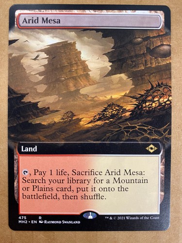 Mtg extended art - 1x,