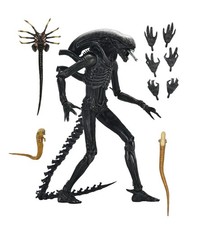 Xenomorph XXX21 Alien Romulus