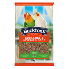 Bucktons cockatiel lovebird - cockatiel, &