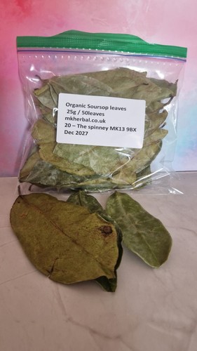 Soursop leaves dried from - soursop,