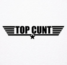 Funny Rude Vinyl Stickers