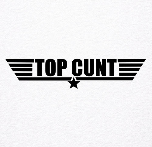 Funny rude vinyl stickers - funny,