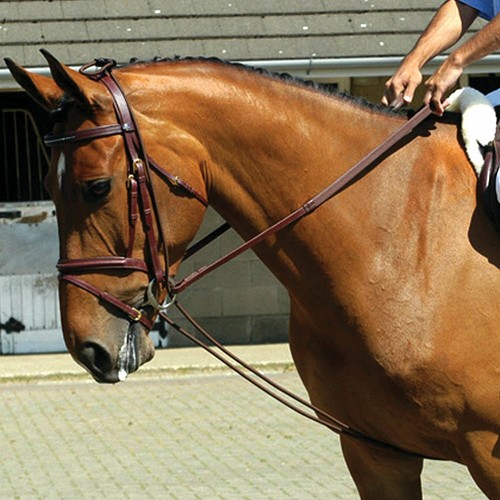 Whitaker elasticated training - whitaker,
