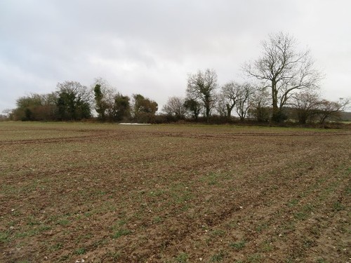 Photo 6x4 great wildcroft - photo,