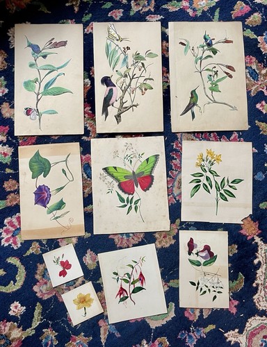 Antique victorian watercolour - antique,