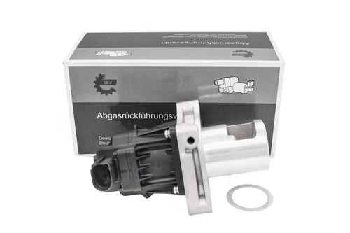 Skv egr valve - skv,