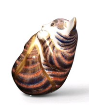 ROYAL CROWN DERBY PAPERWEIGHT