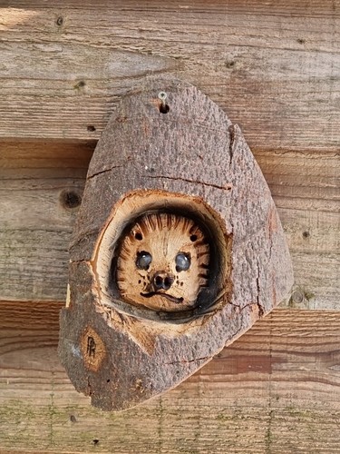 Chainsaw carving hedgehog - chainsaw,