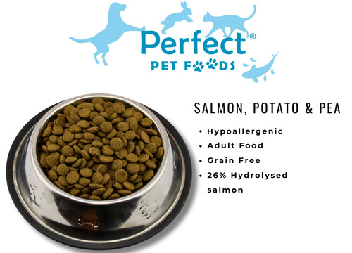 Hypoallergenic salmon potato - salmon,,