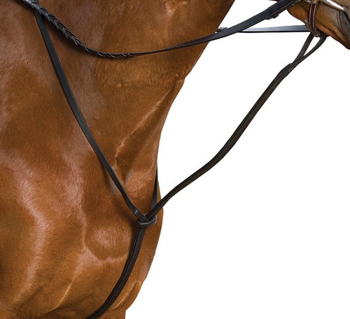 Wintec standing martingale - standing,