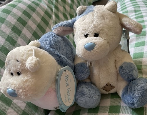 Blue nose teddies - teddies, x2