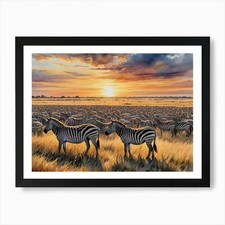 Under the Watchful Acacia