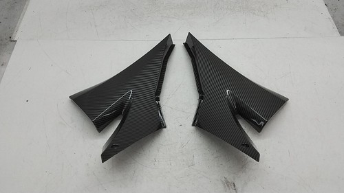 Kawasaki zx10r carbon - 05,