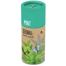 Mint | Luxury Tube of 20 Seedballs | Cracker Filler | Little Gift