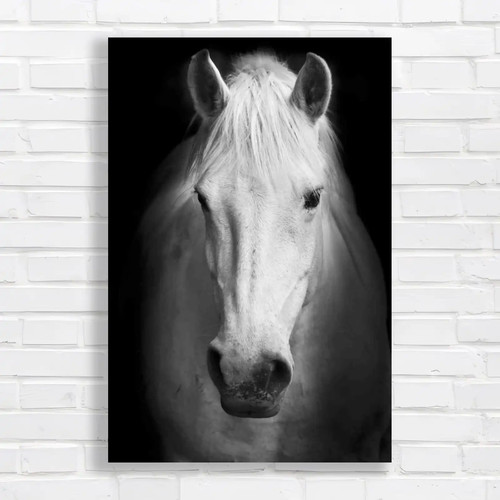 Lovely horse staring original - lovely,