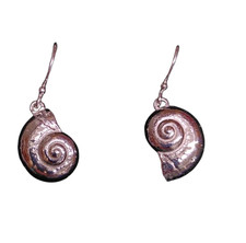 Silver Earrings Shell Fossil Design Fair Trade Hand Made Ethical Jewellery Gift